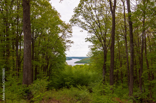 The Allegheny Reservoir in the distance seen through a break in the trees in the Allegheny National Forest in Warren County, Pennsylvania, USA on an overcast spring day