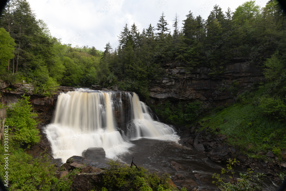 Fototapeta premium The Blackwater Falls