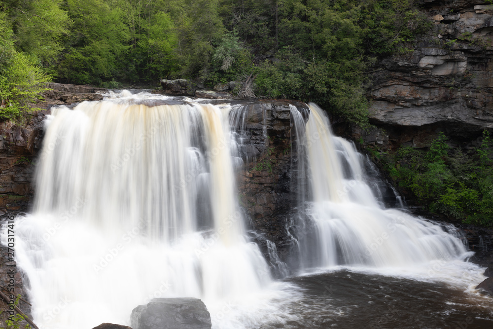 Fototapeta premium The Blackwater Falls
