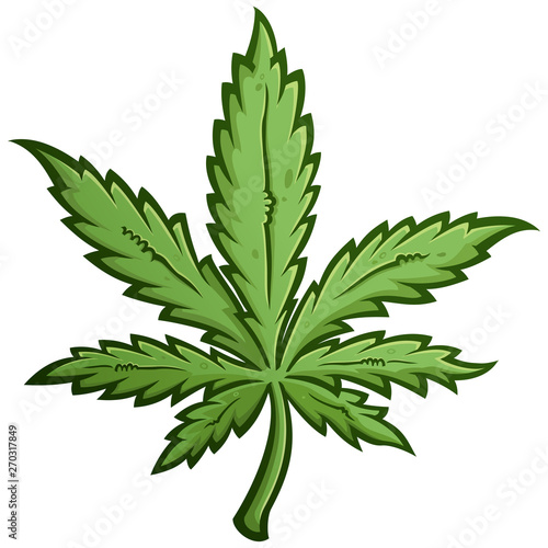 Green Marijuana Weed Leaf Cartoon Drawing photo