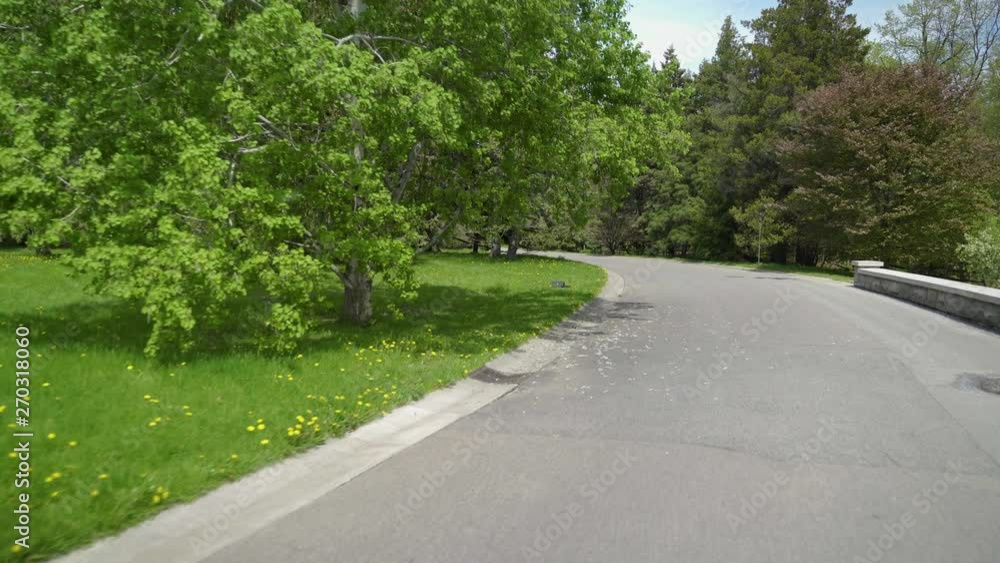 Driving road path overlooking nature area with trees Driving road path overlooking nature area with trees