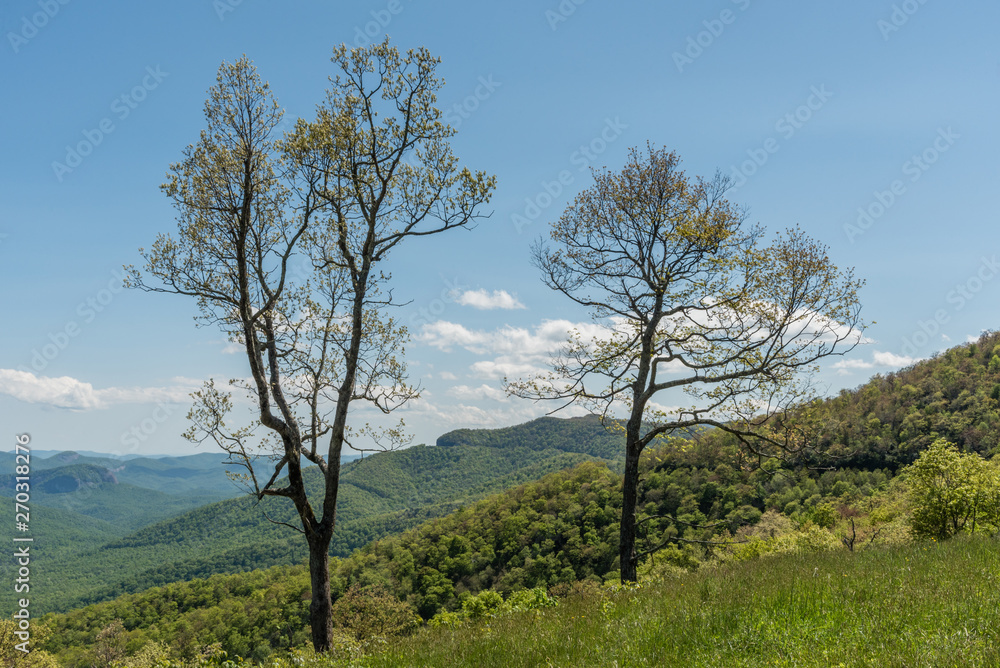 Beautiful Blue Ridge Parkway vista in springtime, North Carolina