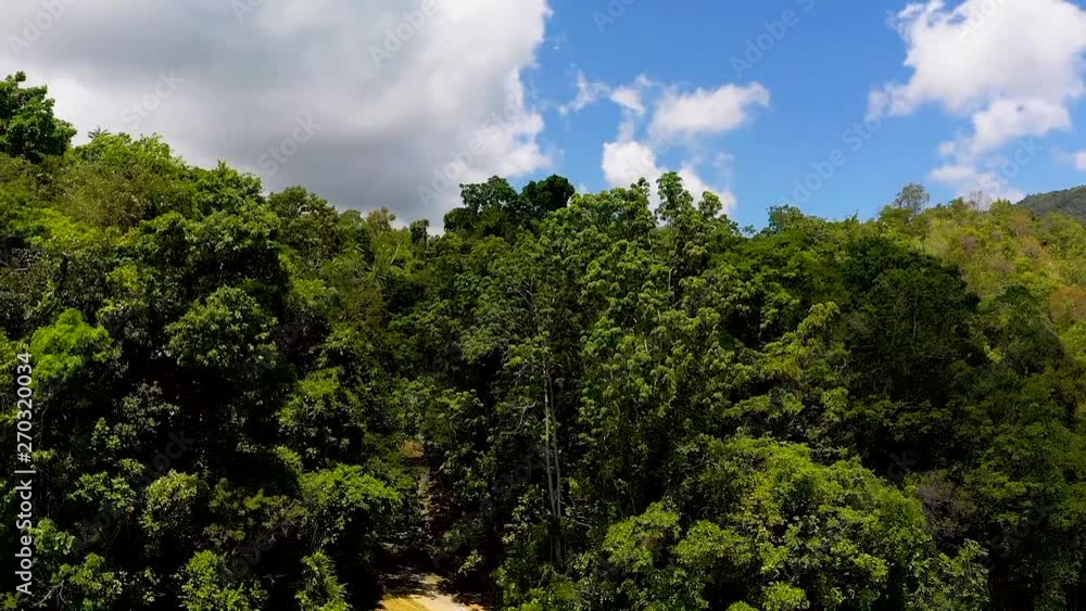 Rising aerial view up & above tropical Bohol waterfall scenery surrounded by lush, tropical green foliage & paradise woodland green trees. Rising aerial view up & above tropical Bohol waterfall scenery surrounded by lush, tropical green foliage & paradise woodland green trees.
