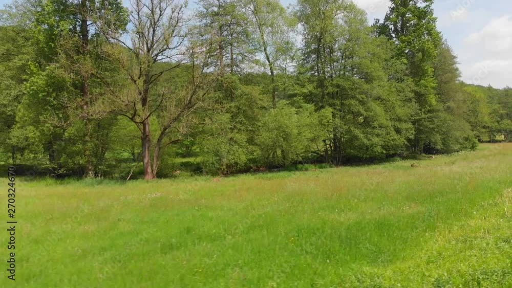 lush green pasture with trees and a small river lush green pasture with trees and a small river