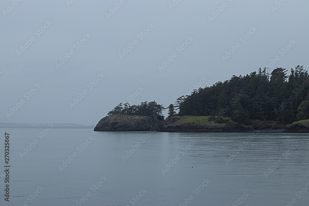 distant cliffs across a large body of water covered in tall green pine trees distant cliffs across a large body of water covered in tall green pine trees