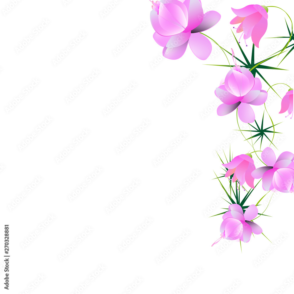 beautiful flowers beautiful flowers