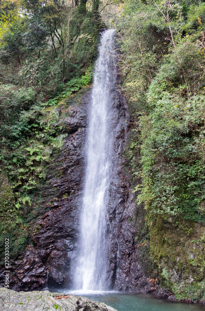 Waterfall of Yoro at autumn time. Japan