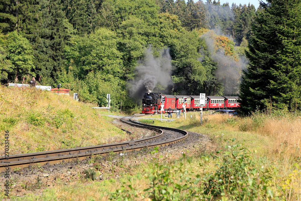 Brocken railroad, Harz Narrow Gauge Railway, Harz, Germany, Europe