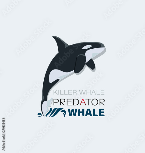 Killer Whale. Marine predator. Emblem. Design for textiles, thematic site, diving club and spearfishing.