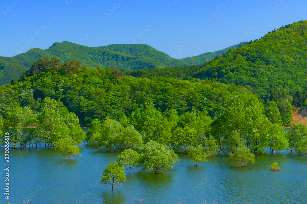 Fototapeta premium 新緑の錦秋湖(岩手県) Kinshuko in Iwate Japan