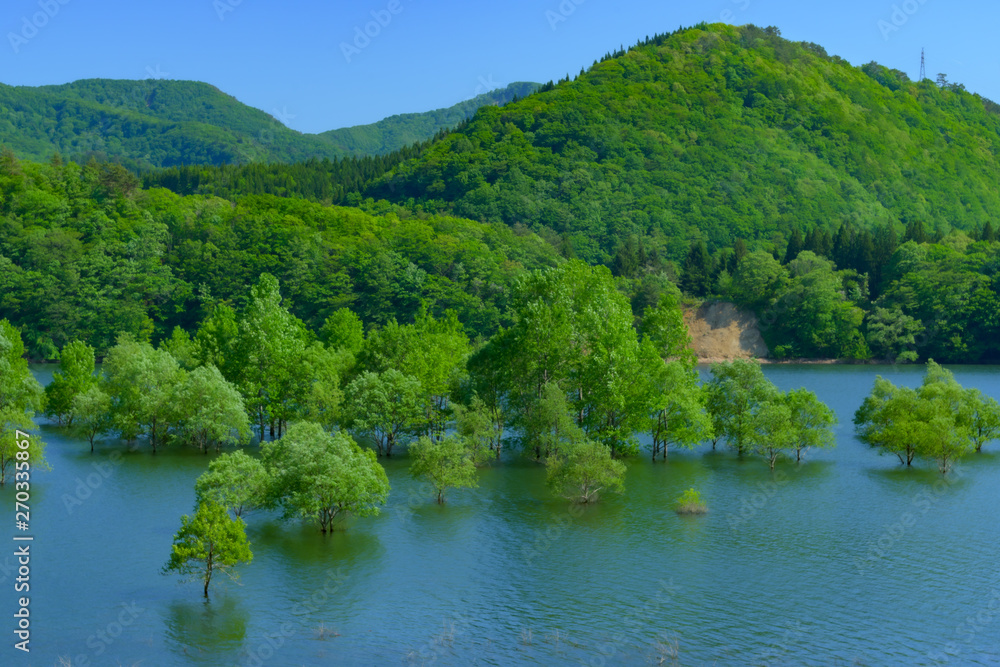新緑の錦秋湖(岩手県) Kinshuko in Iwate Japan 新緑の錦秋湖(岩手県) Kinshuko in Iwate Japan