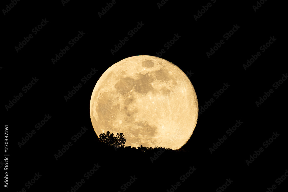 Obraz premium Full moon rising behind a hill with trees