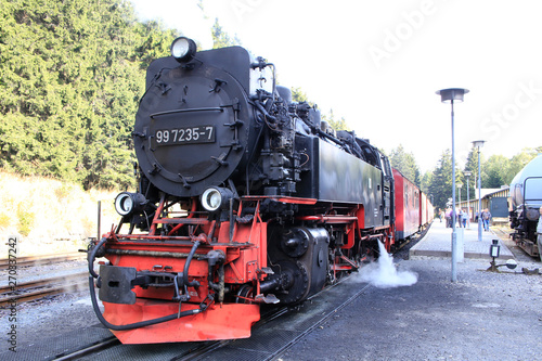 Brocken railroad, Harz Narrow Gauge Railway, Harz, Germany, Europe