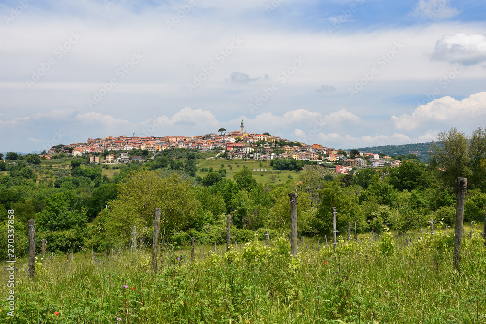 A town in the province of Avellino, in Italy. A town in the province of Avellino, in Italy.