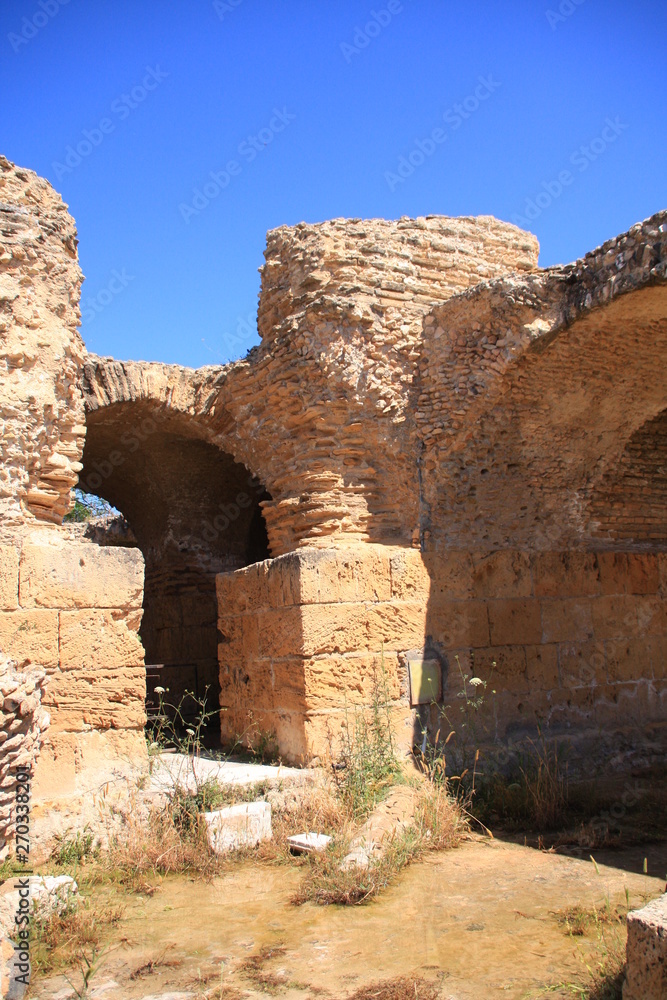 les vestiges de Carthage