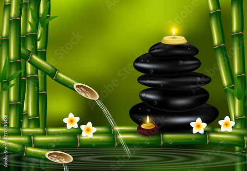 Vector illustration of a realistic style, set for spa treatments with aromatic salt , massage oil, candles on the background of bamboo shoots