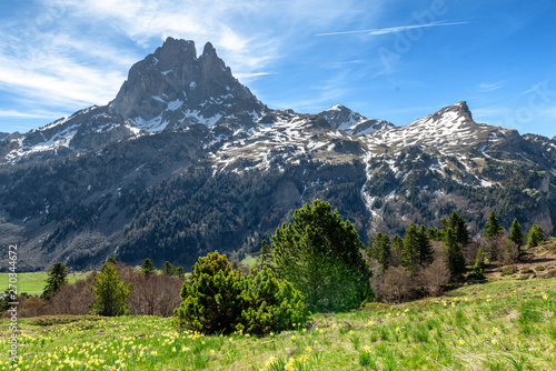 view of Pic du Midi Ossau in springtime, french Pyrenees