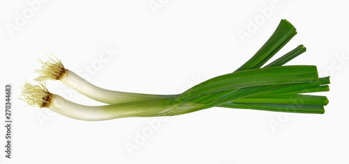  Green onion isolated on white background