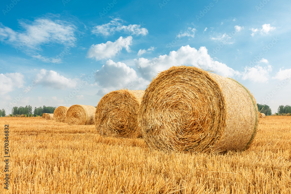 Straw bales on farmland with blue cloudy sky Straw bales on farmland with blue cloudy sky