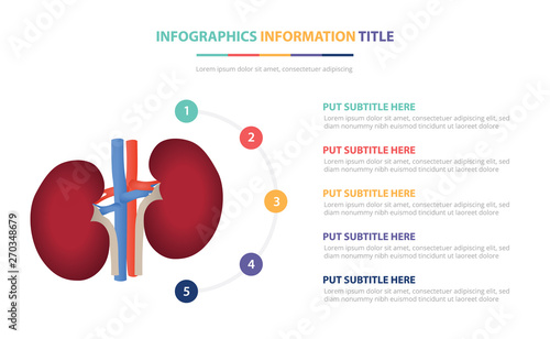 infographic template concept with five points list and various color with clean modern white background - vector