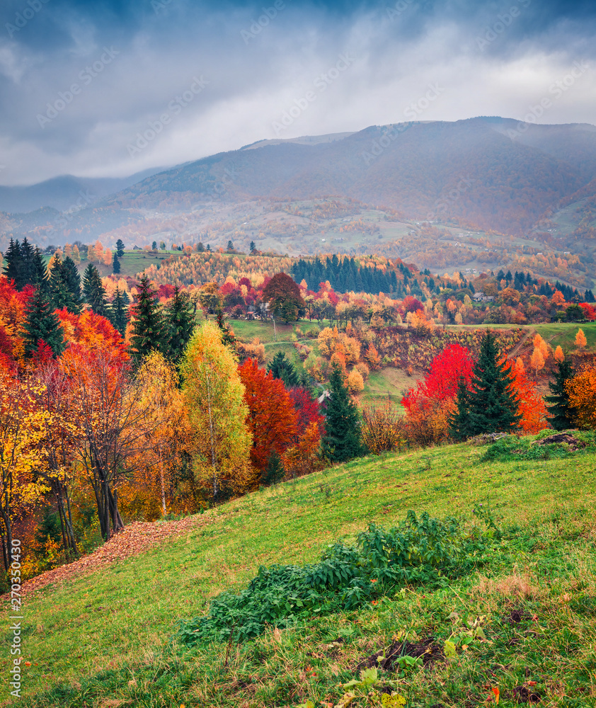 Great autumn scene of mountain valley. Colorful morning scene of Carpathian mountains, Kvasy village location, Ukraine, Europe. Beauty of nature concept background.