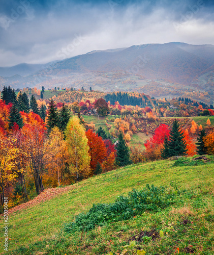 Great autumn scene of mountain valley. Colorful morning scene of Carpathian mountains  Kvasy village location  Ukraine  Europe. Beauty of nature concept background.