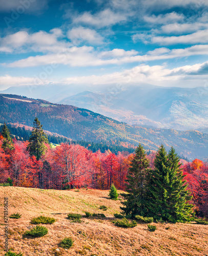 Sunny autumn scene of mountain valley. Colorful morning scene of Carpathian mountains, Kvasy village location, Ukraine, Europe. Beauty of nature concept background.