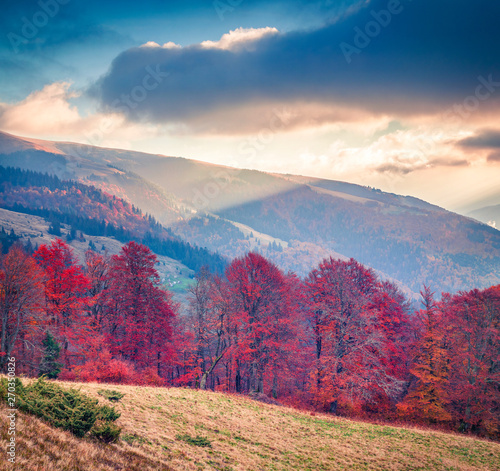 Dramatic autumn sunset of mountain valley. Colorful evening scene of Carpathian mountains, Kvasy village location, Ukraine, Europe. Beauty of nature concept background. photo