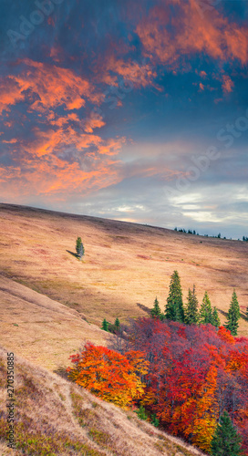 Impressive autumn sunset of mountain valley. Colorful evening scene of Carpathian mountains, Kvasy village location, Ukraine, Europe. Beauty of nature concept background. photo