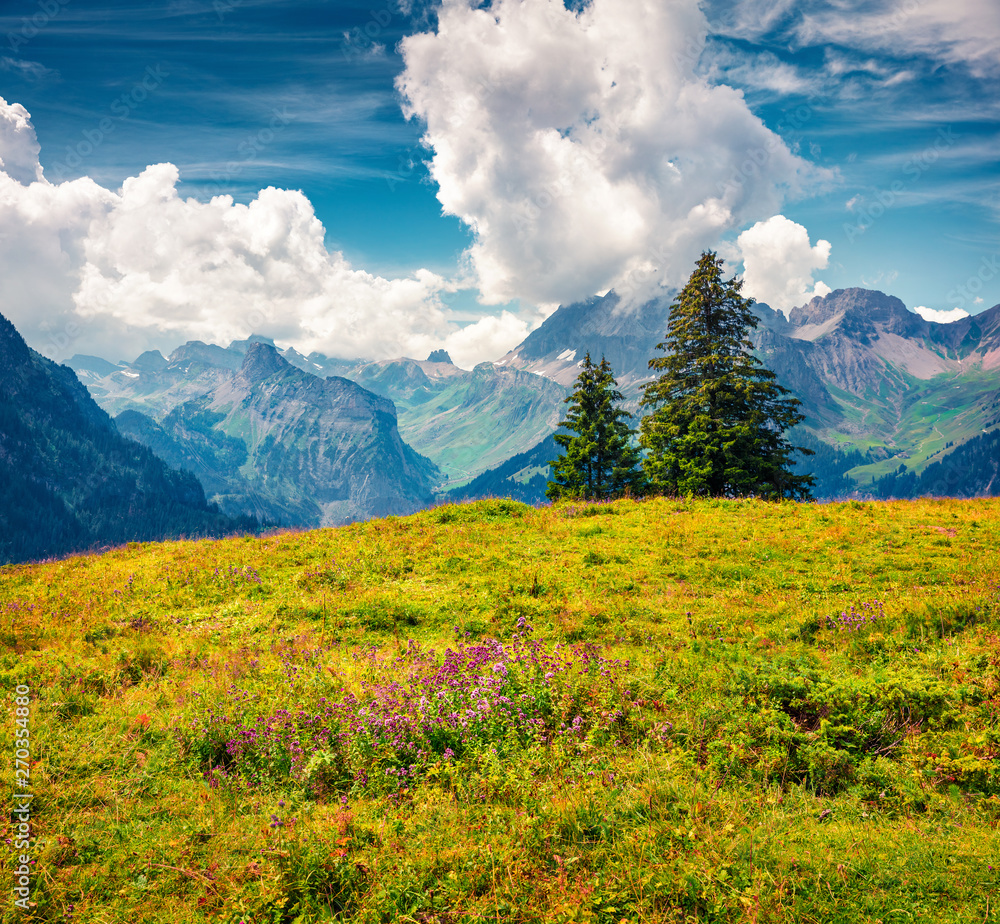 Bright summer view of te hmountain valley from the Oeschinen Lake. Colorful morning scene in the Swiss Alps, Kandersteg village location, canton of Bern, Switzerland, Europe.