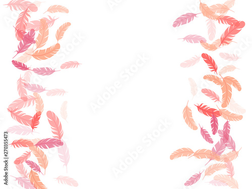 Detailed majestic feather on white design.