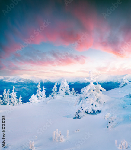 Impressive winter morning in Carpathian mountains with snow covered fir trees. Colorful outdoor scene, Happy New Year celebration concept. Instagram filter toned.