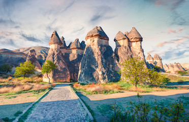 Mystical fungous forms of sandstone in the canyon near Cavusin village, Cappadocia, Nevsehir Province in the Central Anatolia Region of Turkey, Asia. Beauty of nature concept background.