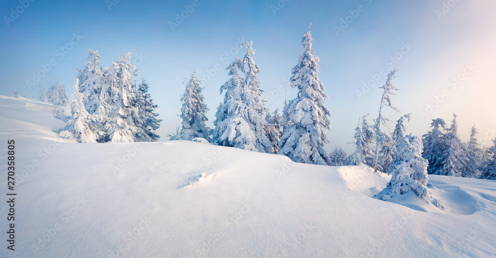 Misty winter morning in Carpathian mountains with snow covered fir trees. Splendid outdoor scene, Happy New Year celebration concept. Artistic style post processed photo.