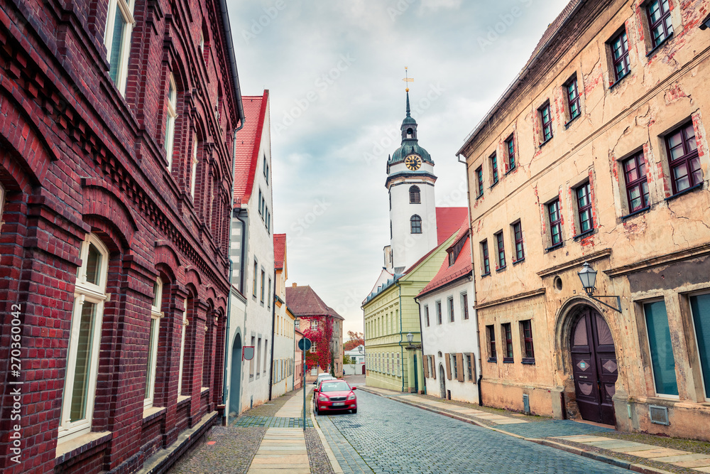 Obraz premium Beautiful autumn view of of Torgau town on the banks of the Elbe. Great morning cityscape in Saxony, Germany. Traveling concept background.
