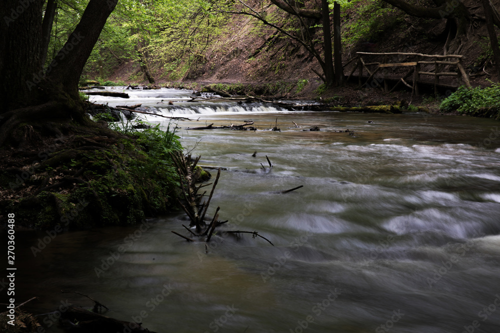 Fototapeta premium Mountain stream, River deep in mountain forest, Mountain creek cascade with fresh green moss on the stones