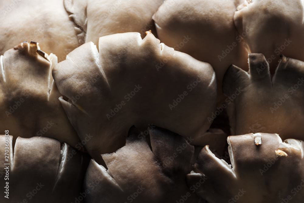 close up view of white raw textured mushrooms with shadow in pile