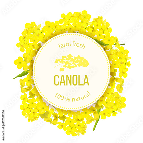 Rapeseed blossom flowers. Card template text. Round Circle badge Flowering Canola or colza. Brassica napus. Blooming rape