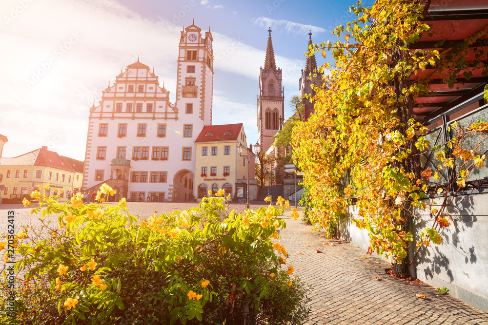 Sunny autumn view of Oschatz central square with Stadtverwaltung and St. Aegidien church. Colorful morning scene of Saxony, Germany, Europe. Traveling concept background.