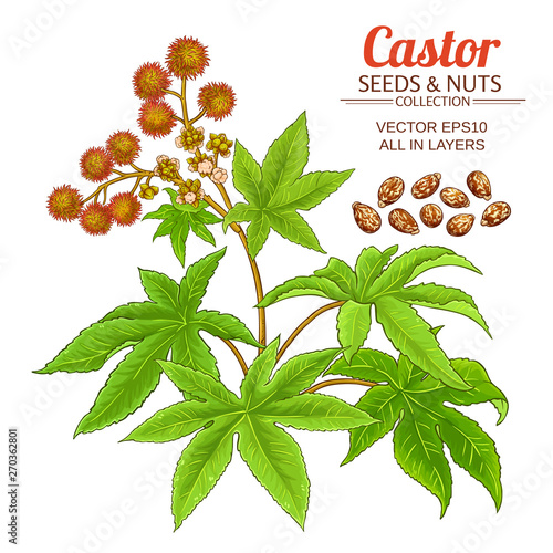 castor vector set