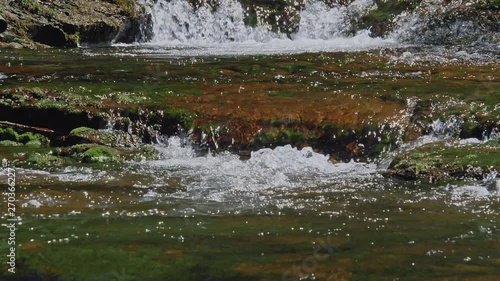 Wallpaper Mural 新緑シーズンの川の流れのスローモーション Torontodigital.ca