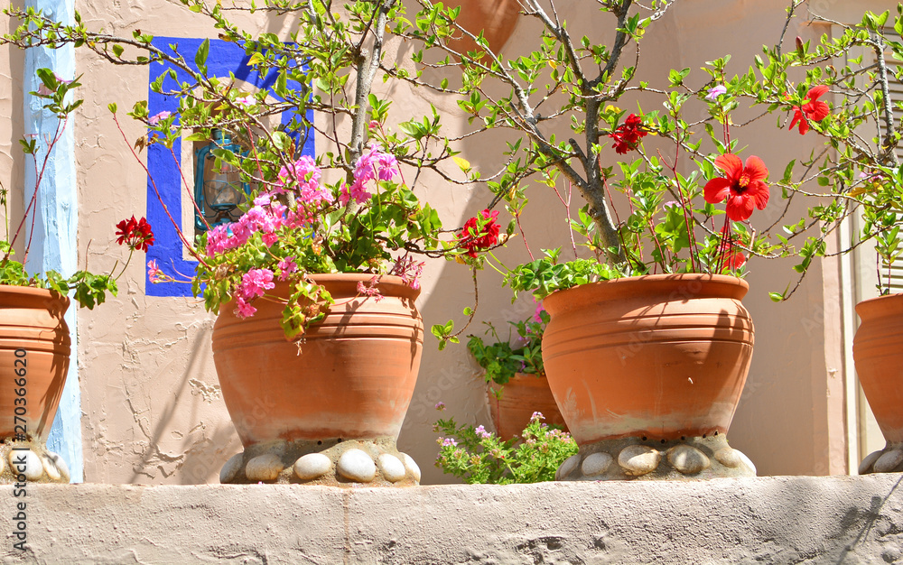 Flowers in flowerpots on a mediterranean terrace