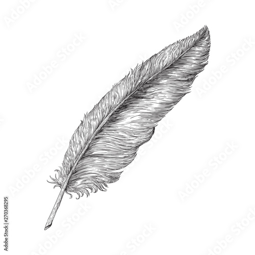Feather