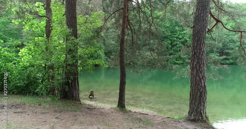 In the middle of the forest I found a green lake In the middle of the forest I found a green lake