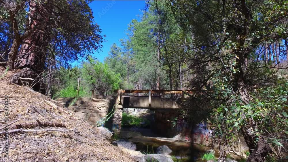 Overlooking a small bridge with a running stream in the forest and graffiti damage. Overlooking a small bridge with a running stream in the forest and graffiti damage.