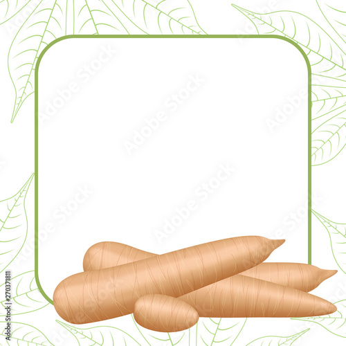 banner frame of cassava fresh for copy space, cassava cut slice for tapioca flour industry or ethanol, pile yucca cassava tuber on frame, raw manioc cassava on template banner green background empty