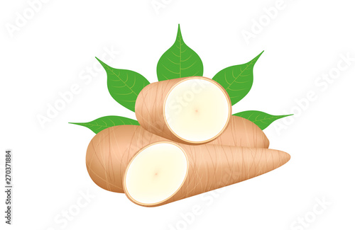 cassava fresh and leaf isolated on white background, raw cassava cut slice for tapioca flour industry or ethanol industry, pile yucca cassava tuber, raw manioc cassava in top view