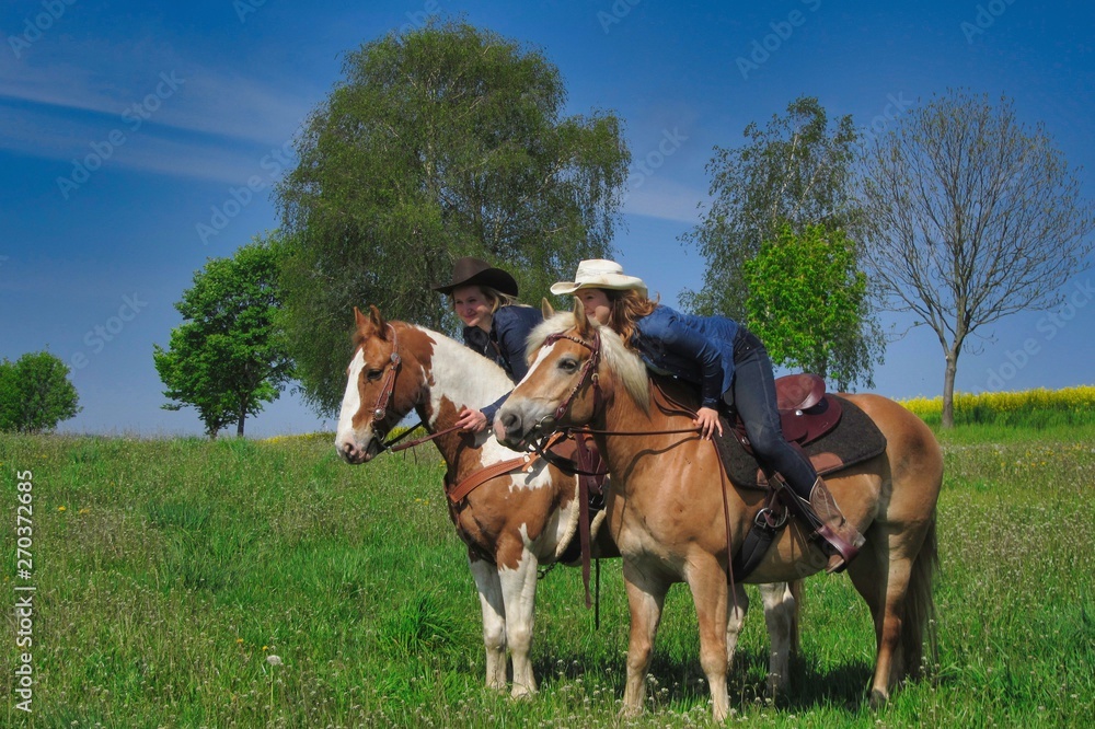 mit dem pferd auf einer blumenwiese im erzgebirge mit dem pferd auf einer blumenwiese im erzgebirge