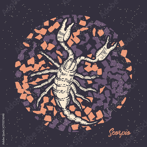 Zodiac sign Scorpio. The symbol of the astrological horoscope. Hand-drawn illustration.