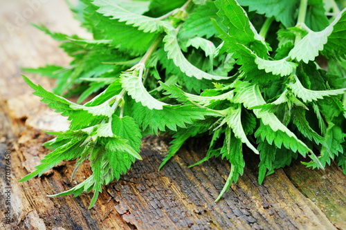 Young nettle leaves on rustic background, stinging nettles, urtica photo